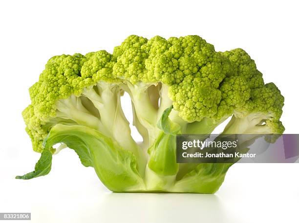 Broccoli High-Res Stock Photo