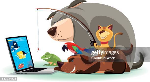 stockillustraties, clipart, cartoons en iconen met kitty en vrienden vissen via internet - angelfish