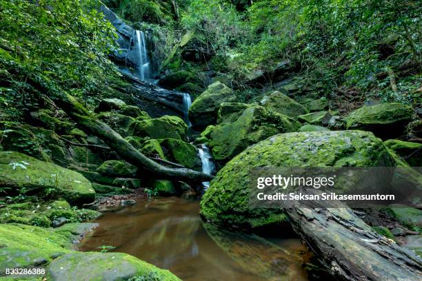 Spring Water In Forest 23,210 Spring Water Forest Stock Photos, High-Res Pictures, and Images ...
