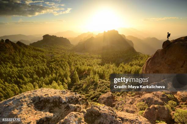 man standing on top of a mountain, canary islands - gran canaria bildbanksfoton och bilder