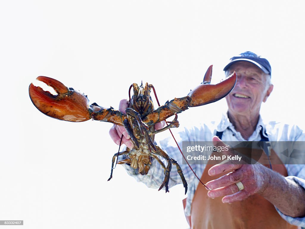 Elderly lobster fisherman