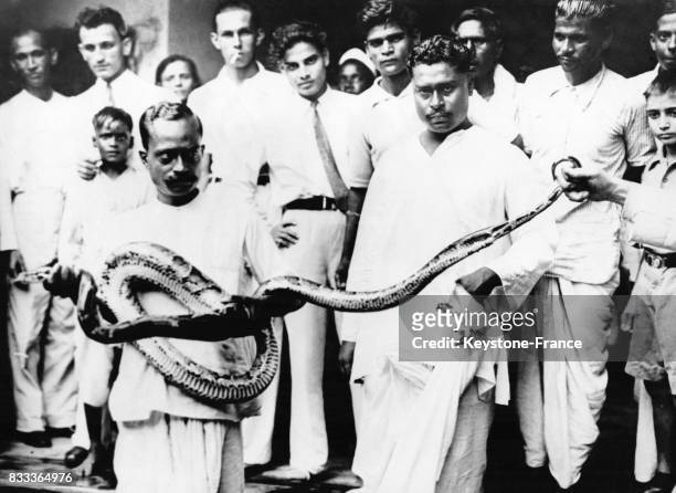 Un python découvert dans la salle de bain d'un résident de Calcutta, Inde en 1934.