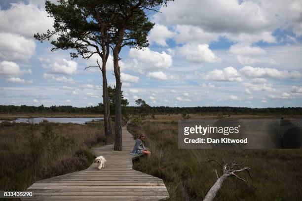 Girl sits on a boardwalk at Thursley National Nature Reserve on August 16, 2017 in Thursley, England. The 325 hectre site, managed by Natural...