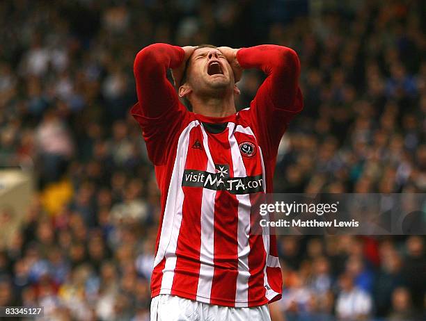 James Beattie of Sheffield United shows his frustration during the Coca-Cola Championship match between Sheffield Wednesday and Sheffield United at...