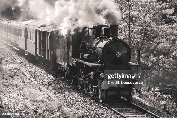 steam train - steam train stockfoto's en -beelden