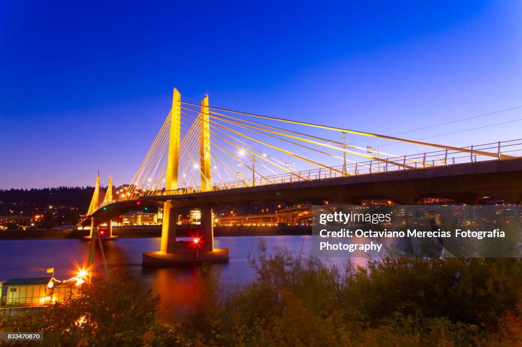 Tilikum Crossing, Bridge of the People