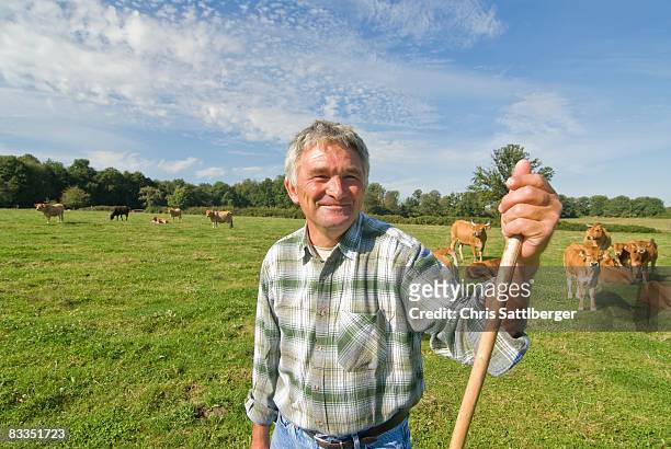 farmer in pasture with his herd of cattle - campagne photos et images de collection