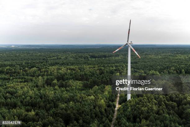 Wind power station in the middle of a forest is pictured on August 04, 2017 in Bernsdorf, Germany.