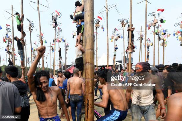 Participant reacts after successfully making it to the top during Panjat Pinang, a pole climbing contest, held as part of festivities marking...