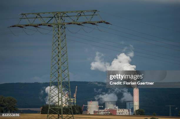 The brown coal power station near the polish town Bogatynia is pictured behind a power pole on August 12, 2017 in Oberseifersdorf, Germany..