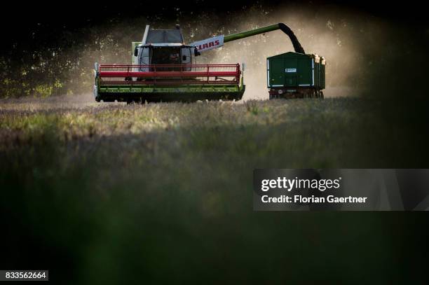 Harvester and a trailer in evening light are pictured on August 14, 2017 in Goldbeck, Germany..