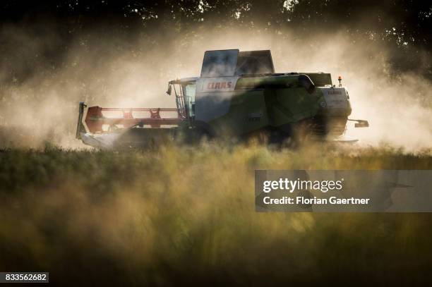 Harvester threshes a corn field in evening light on August 14, 2017 in Goldbeck, Germany..