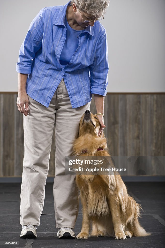 Golden Retriever fuertemente contra del propietario