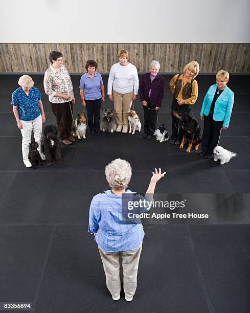 instructor leading dog obedience class - dog training stock pictures, royalty-free photos & images