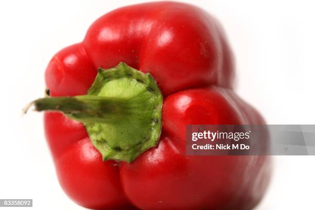 studio shot of bell pepper on white background - red bell pepper white background stock illustrations