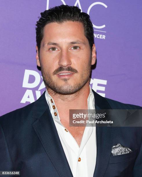 Professional Dancers Val Chmerkovskiy attends the 2017 Industry Dance Awards and Cancer Benefit show at Avalon on August 16, 2017 in Hollywood,...