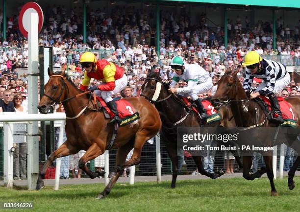 Max Chipchase 228 Chipchase Stock Photos, High-Res Pictures, and Images - Getty Images