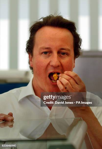 Conservative party leader David Cameron tucks into some cheese during a visit to the Royal Show at , Stoneleigh, Warwickshire.