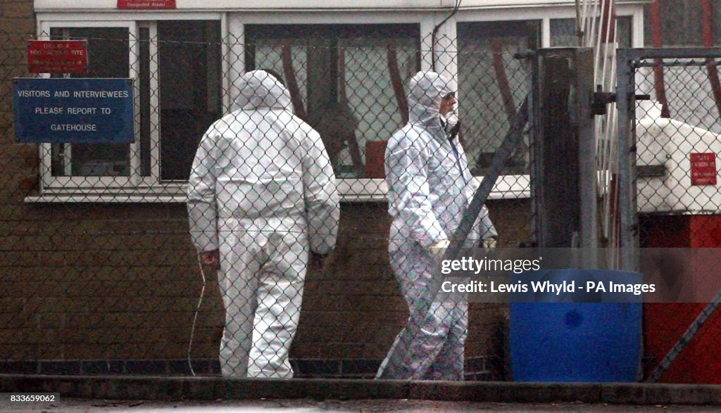 Suspected outbreak of bird flu at Turkey farm