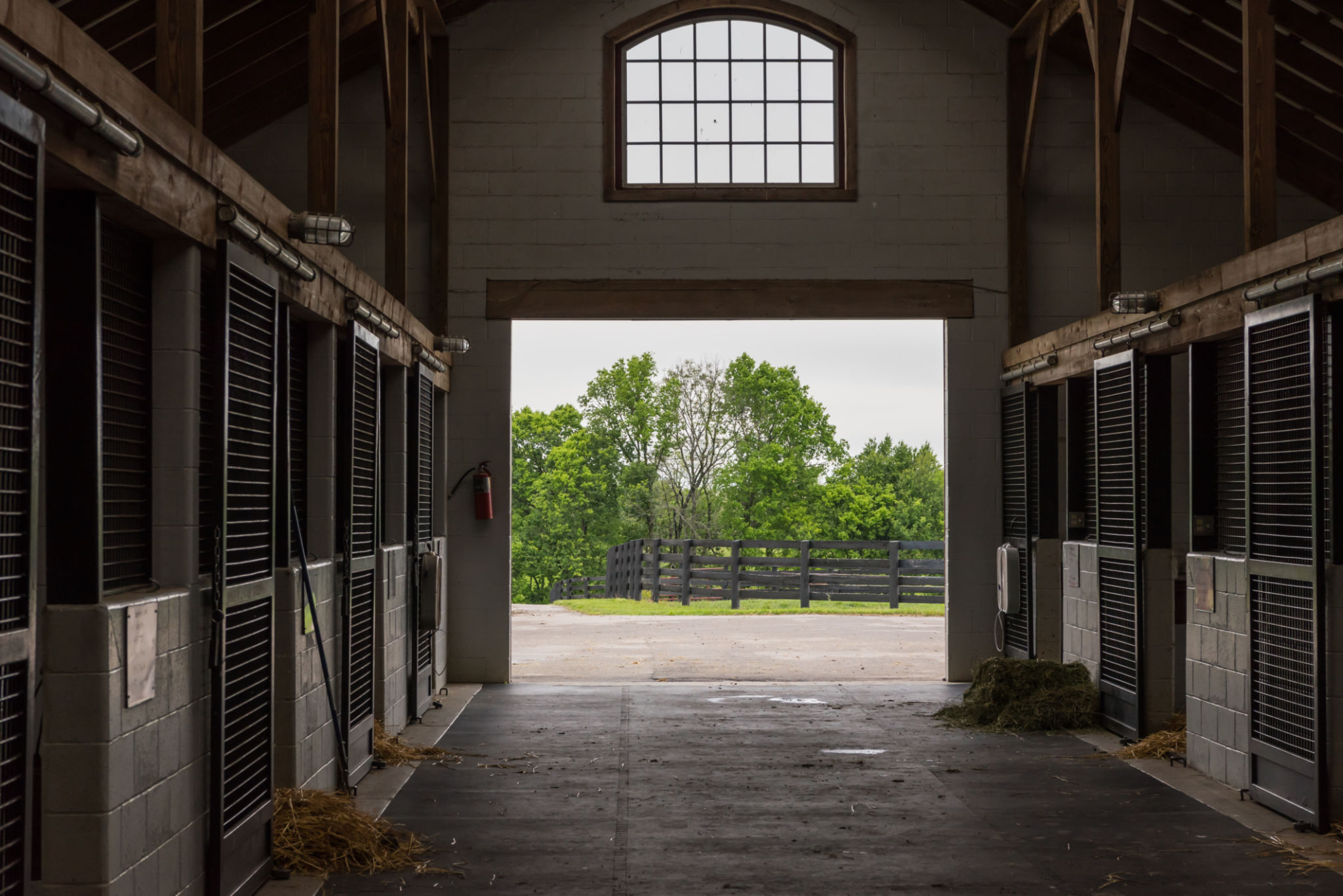 stable cleaning