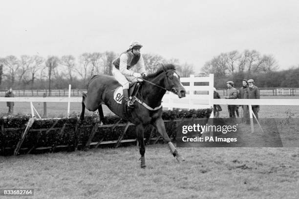 Pratt's Sula Bula, with jockey T. Eastaby, winning the New Years Day Hurdle Race at the Royal Windsor races.