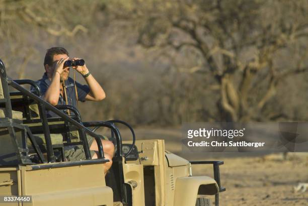 tourist on safari watching wildlife - safari animals stock photos et images de collection