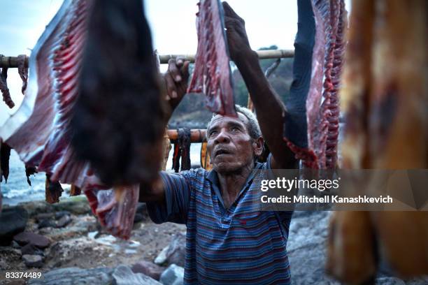 Traditional whaling village of Lamalera, Lembata, Flores, Indonesia