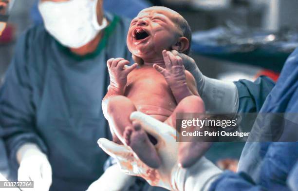 new beginnings. - childbirth stock pictures, royalty-free photos & images