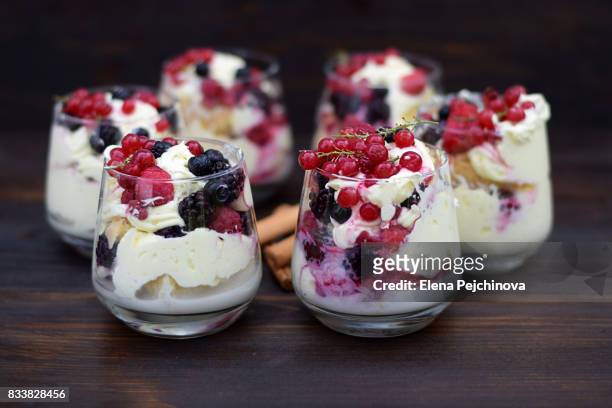 dessert of the day - homemade icecream stock pictures, royalty-free photos & images