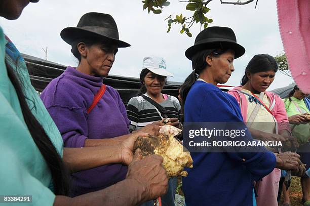 Colombian indigenous people prepare their food on October 22, 2008 in Santander de Quilichao, in Valle del Cauca department, during a stop on their...