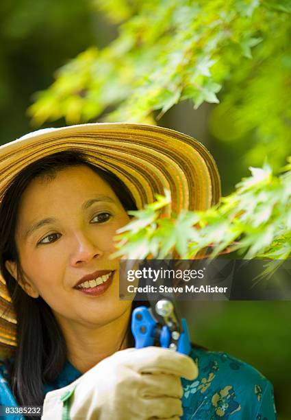 asian woman gardener, japanese garden - steve-mcalister stock pictures, royalty-free photos & images