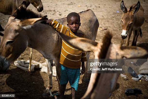 Boy is surrounded by donkeys at a shared human and animal watering hole in central Africa where water is an incredibly valuable resource on July 10,...