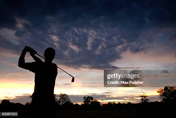 silhouette of golf player at the end of his swing in bushveld setting, moremi wildlife reserve, botswana - bosveld van zuidelijk afrika stockfoto's en -beelden