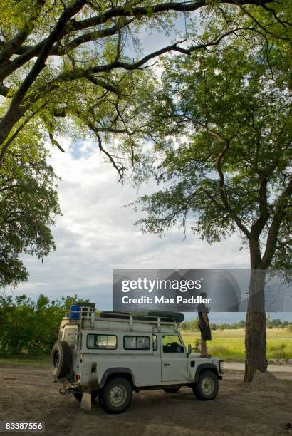 a young man on safari, surveys the bushveld from the front of a 4x4, moremi wildlife reserve, botswana - bosveld van zuidelijk afrika stockfoto's en -beelden