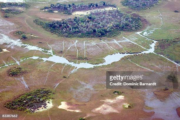 aerial view of the okavango delta, botswana - okavango delta stock pictures, royalty-free photos & images