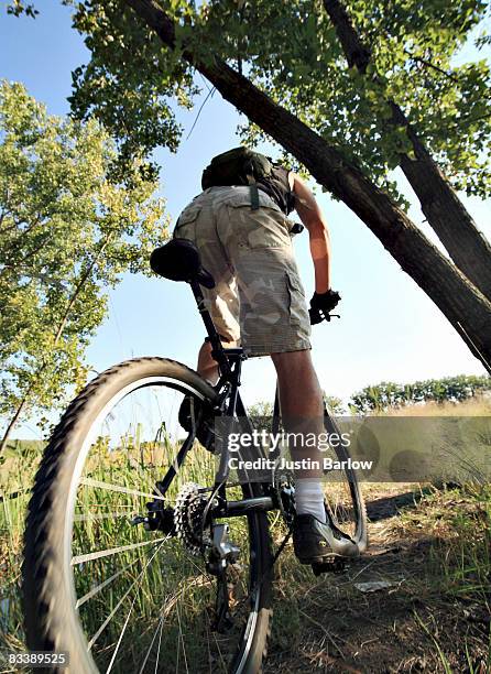 low angle shot of man cycling through forest, gauteng province, south africa - woodlands gauteng stock pictures, royalty-free photos & images