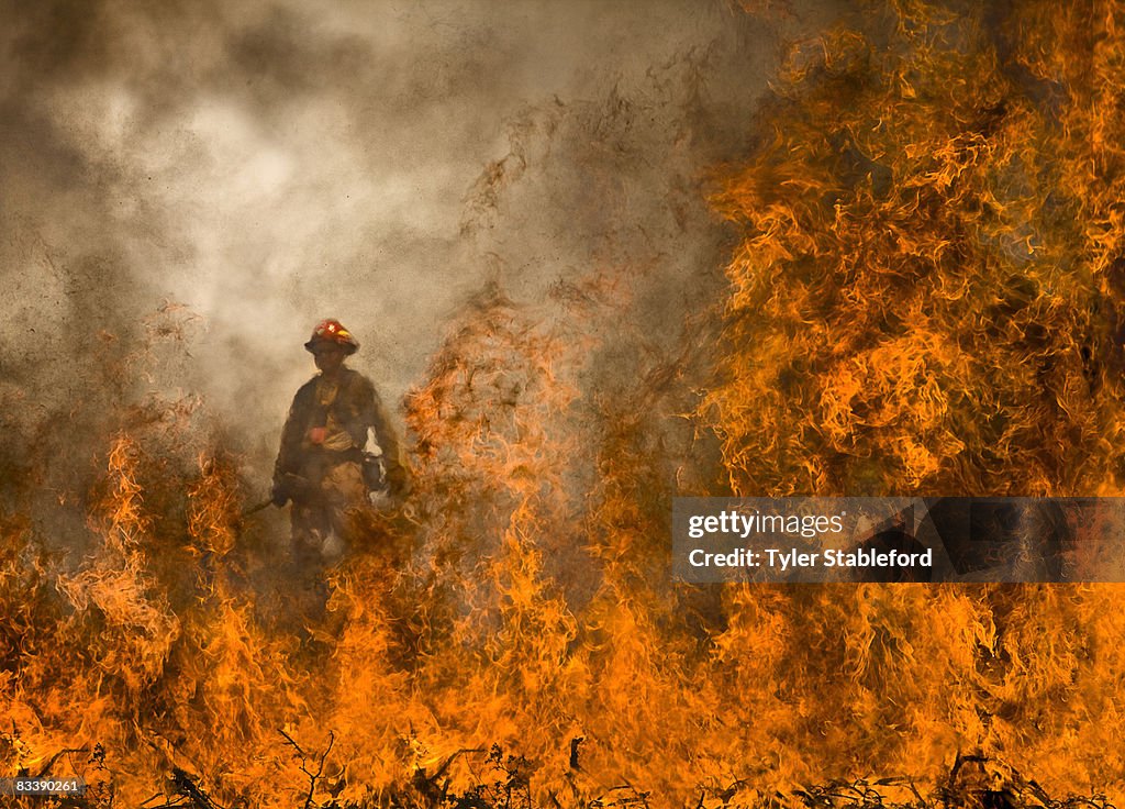 Colorado wildfire fighters on Prince Creek burn.