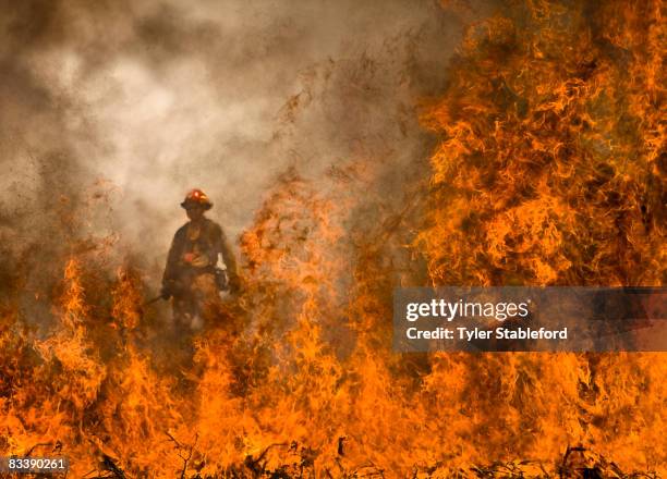 colorado wildfire fighters on prince creek burn. - wildfire 個照片及圖片檔