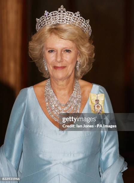 Camilla HRH the Duchess of Cornwall at The Queens Banquet for the Commonwealths Heads of Government in Kampala, Uganda.