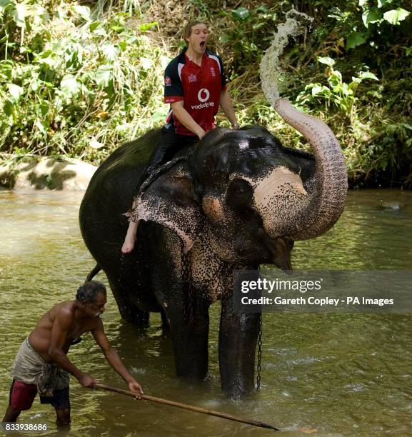 England's Matthew Hoggard baths with an elephant during a visit to Pinawella village near Kandy, Sri Lanka.