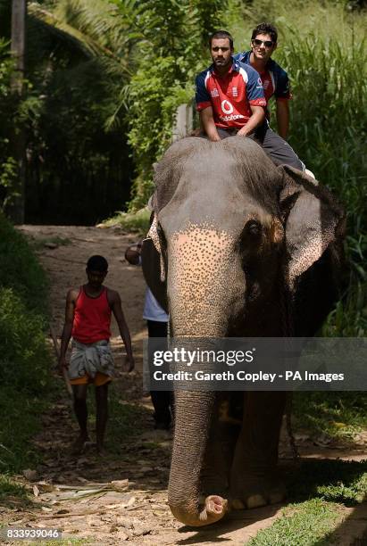 England's Ravi Bopara and Alastair Cook an elephant during a visit to Pinawella village near Kandy, Sri Lanka.