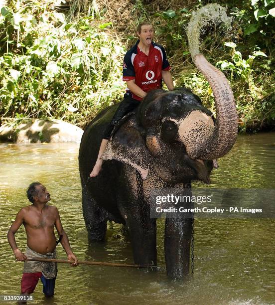 England's Matthew Hoggard bathes with an elephant during a visit to Pinawella village near Kandy, Sri Lanka.