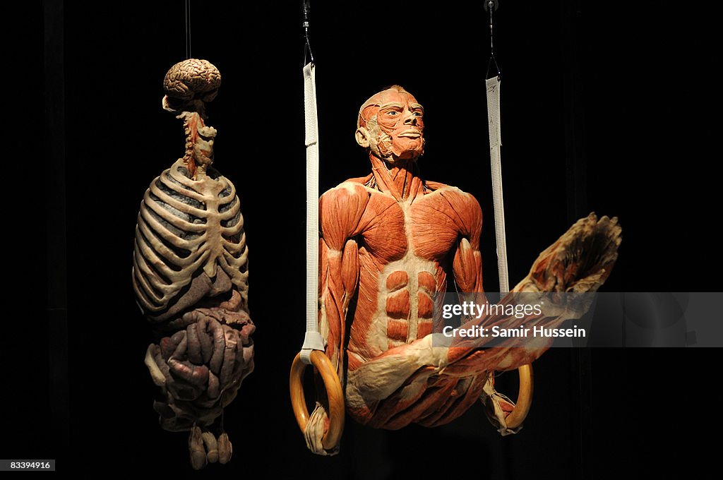 Body Worlds & The Mirror of Time Exhibition Launch