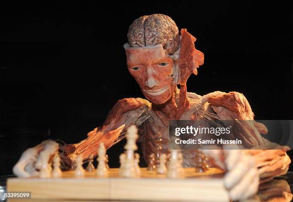 Body Worlds & The Mirror of Time Exhibition Launch Body Worlds & The Mirror of Time Exhibition Launch
