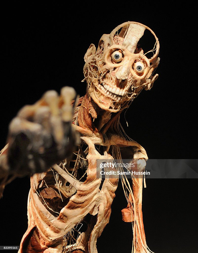 Body Worlds & The Mirror of Time Exhibition Launch