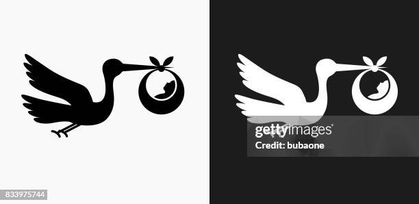 ilustrações de stock, clip art, desenhos animados e ícones de stork and newborn icon on black and white vector backgrounds - cegonha