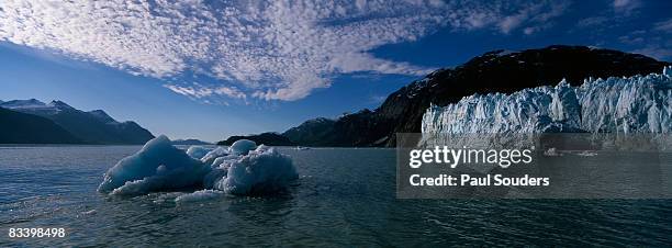 margerie glacier, glacier bay, alaska - glacier bay stock pictures, royalty-free photos & images