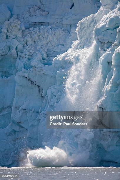 calving icebergs, glacier bay, alaska - glacier bay national park stock-fotos und bilder