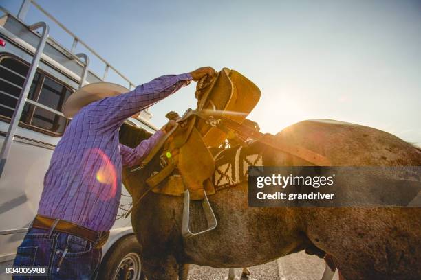 cowboy saddling a horse - horse trailer stock pictures, royalty-free photos & images