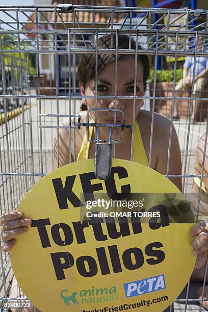 An activist of Animais Naturais Mexico, in coordination with US PETA , protests inside a cage against the animal cruelty, in front of the US chicken...